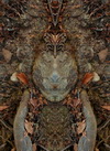 Nature Spirits, Devas, Plant spirits, light spirits, Crystal Devas