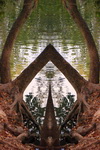 Vibrational Healing, Clairvoyant Mystic seer oracle,
clairvoyant Deborah Eidson photographer