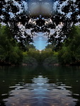 photos of ET's, UFO's, Star Visitors, paranormal phenomena photos